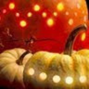 Meet your Posher, Rose